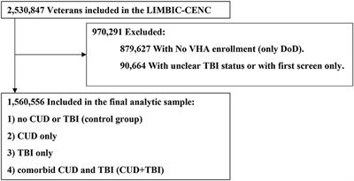 Cannabis use disorder contributes to cognitive dysfunction in Veterans with traumatic brain injury